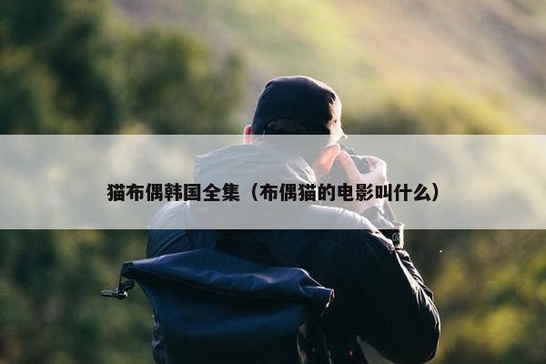 猫布偶韩国全集（布偶猫的电影叫什么）