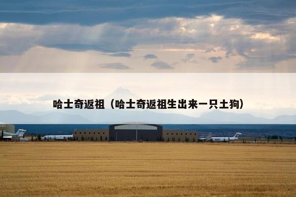 哈士奇返祖（哈士奇返祖生出来一只土狗）