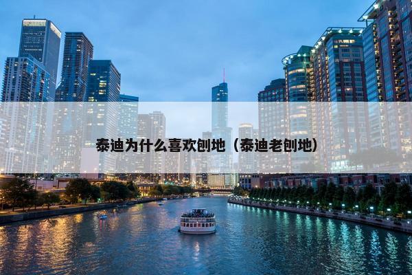 泰迪为什么喜欢刨地（泰迪老刨地）