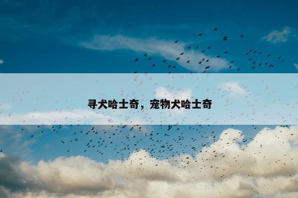 寻犬哈士奇，宠物犬哈士奇