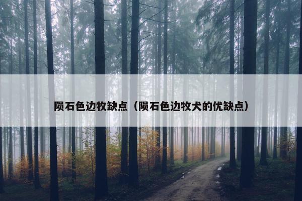 陨石色边牧缺点（陨石色边牧犬的优缺点）