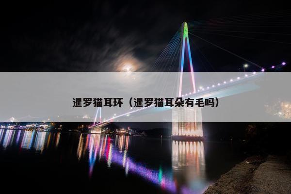 暹罗猫耳环（暹罗猫耳朵有毛吗）