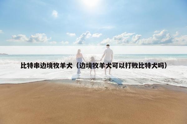 比特串边境牧羊犬（边境牧羊犬可以打败比特犬吗）
