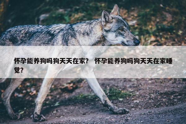 怀孕能养狗吗狗天天在家？ 怀孕能养狗吗狗天天在家睡觉？