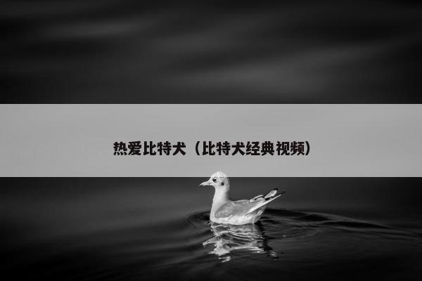 热爱比特犬（比特犬经典视频）