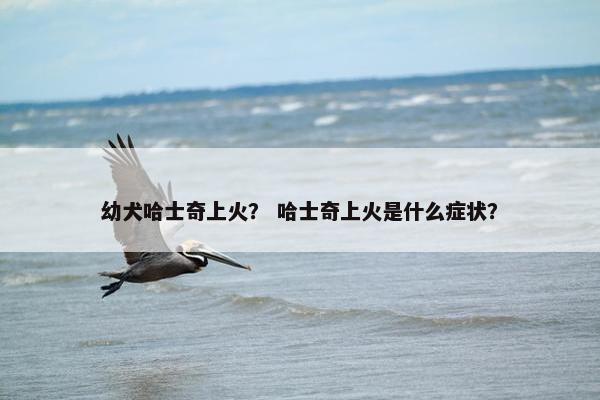 幼犬哈士奇上火？ 哈士奇上火是什么症状？