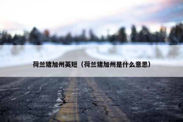 荷兰猪加州英短（荷兰猪加州是什么意思）