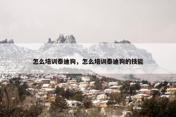 怎么培训泰迪狗，怎么培训泰迪狗的技能