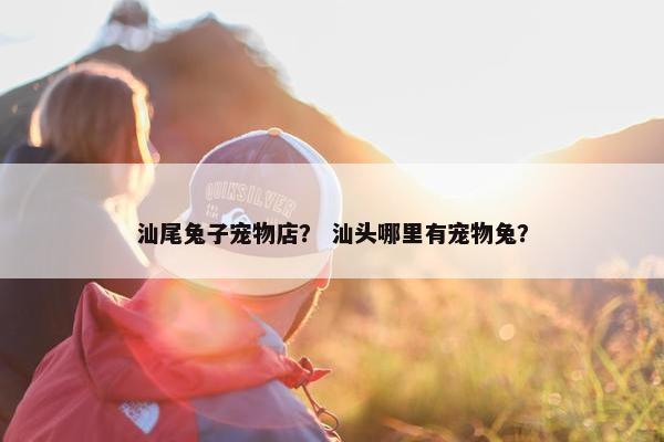 汕尾兔子宠物店？ 汕头哪里有宠物兔？