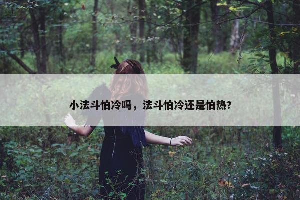 小法斗怕冷吗，法斗怕冷还是怕热?