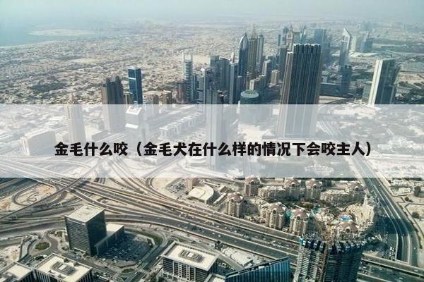 金毛什么咬（金毛犬在什么样的情况下会咬主人）