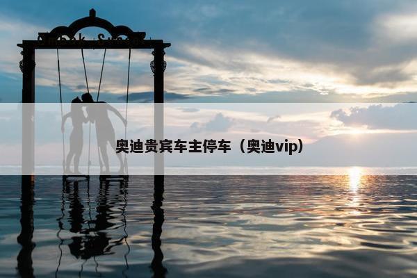 奥迪贵宾车主停车（奥迪vip）