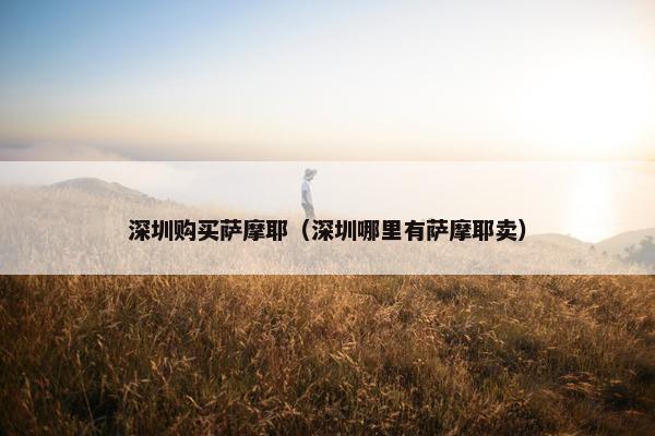深圳购买萨摩耶（深圳哪里有萨摩耶卖）