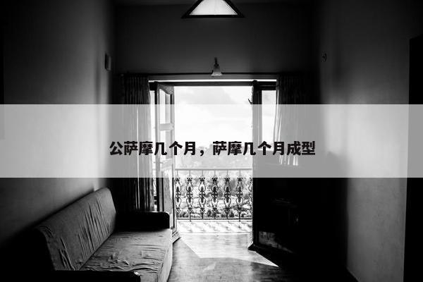 公萨摩几个月，萨摩几个月成型