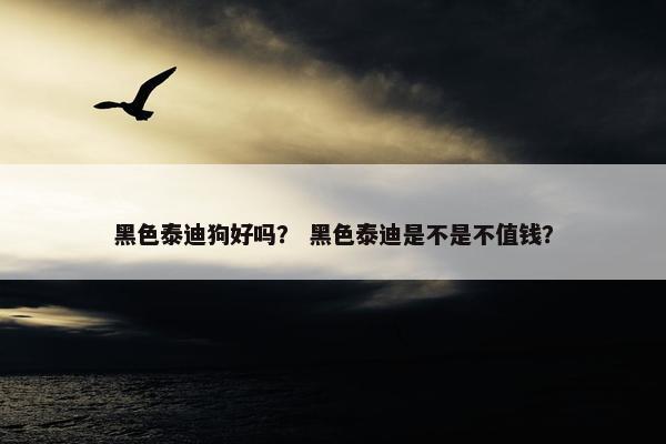 黑色泰迪狗好吗？ 黑色泰迪是不是不值钱？