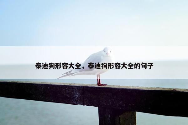 泰迪狗形容大全，泰迪狗形容大全的句子