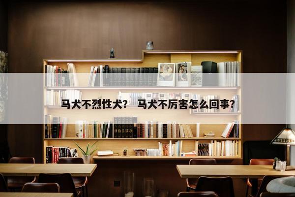 马犬不烈性犬？ 马犬不厉害怎么回事？