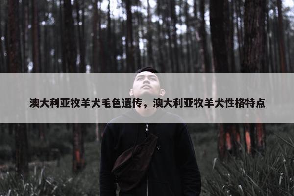 澳大利亚牧羊犬毛色遗传，澳大利亚牧羊犬性格特点