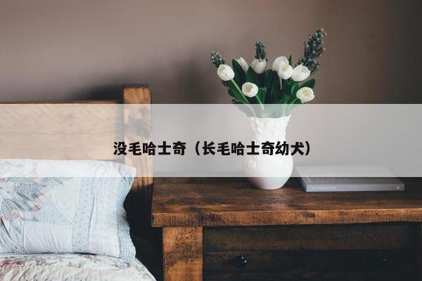 没毛哈士奇（长毛哈士奇幼犬）