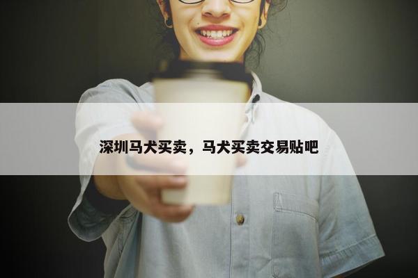 深圳马犬买卖，马犬买卖交易贴吧