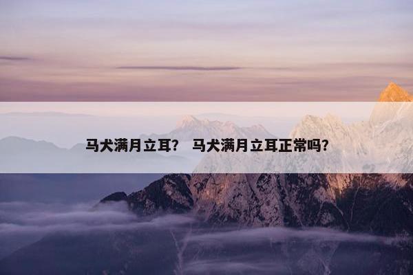 马犬满月立耳？ 马犬满月立耳正常吗？