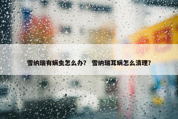 雪纳瑞有螨虫怎么办？ 雪纳瑞耳螨怎么清理？