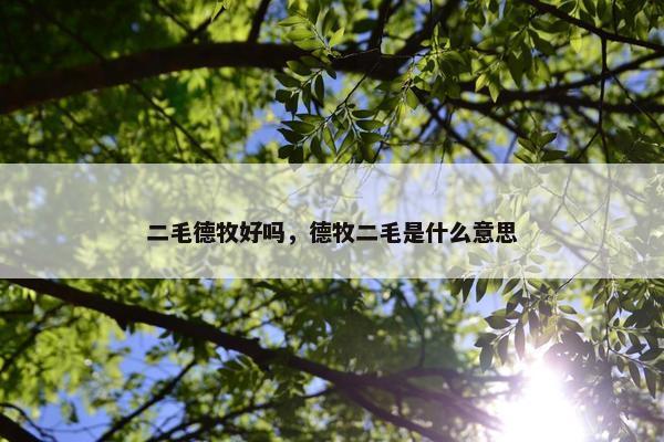 二毛德牧好吗，德牧二毛是什么意思