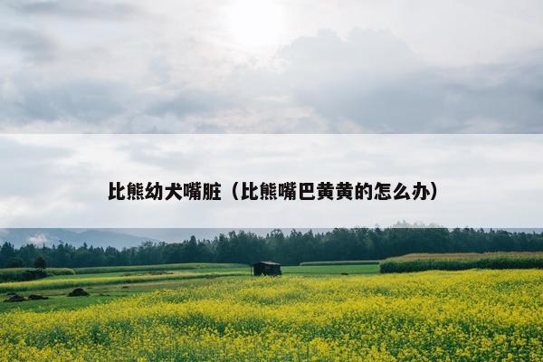 比熊幼犬嘴脏（比熊嘴巴黄黄的怎么办）