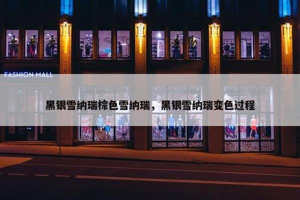 黑银雪纳瑞棕色雪纳瑞，黑银雪纳瑞变色过程