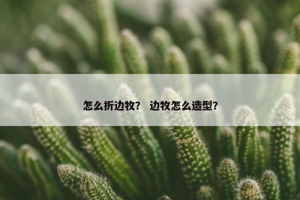 怎么折边牧？ 边牧怎么造型？
