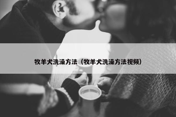 牧羊犬洗澡方法（牧羊犬洗澡方法视频）