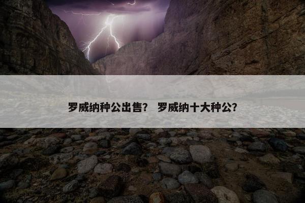 罗威纳种公出售？ 罗威纳十大种公？