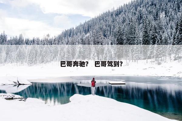 巴哥奔驰？ 巴哥驾到？