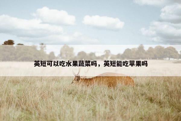 英短可以吃水果蔬菜吗，英短能吃苹果吗