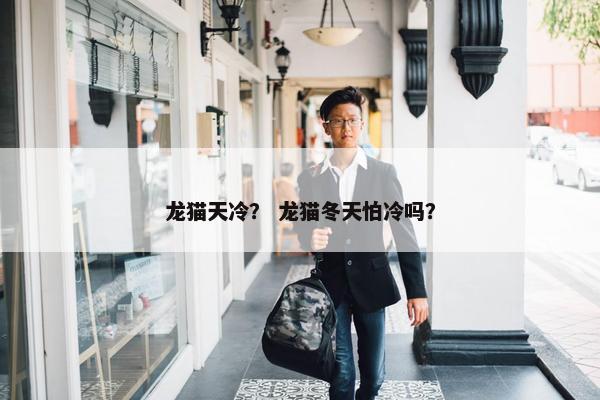 龙猫天冷？ 龙猫冬天怕冷吗？