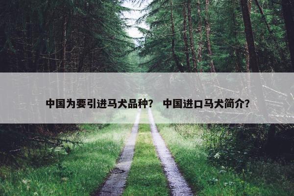 中国为要引进马犬品种？ 中国进口马犬简介？