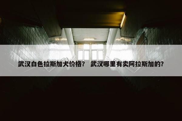 武汉白色拉斯加犬价格？ 武汉哪里有卖阿拉斯加的？