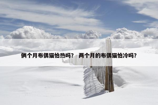 俩个月布偶猫怕热吗？ 两个月的布偶猫怕冷吗？