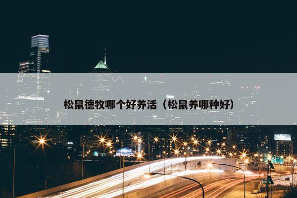 松鼠德牧哪个好养活（松鼠养哪种好）