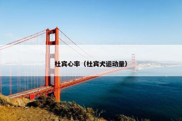 杜宾心率（杜宾犬运动量）