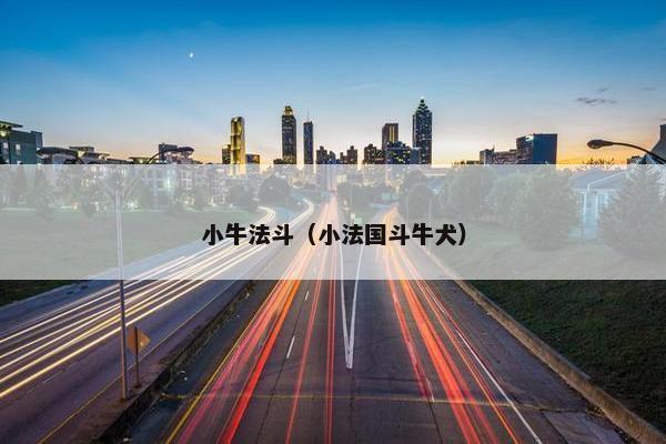 小牛法斗（小法国斗牛犬）