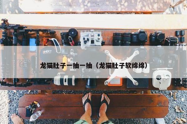龙猫肚子一抽一抽（龙猫肚子软绵绵）