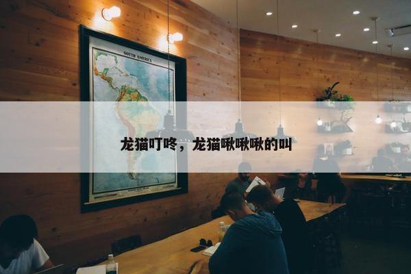 龙猫叮咚，龙猫啾啾啾的叫