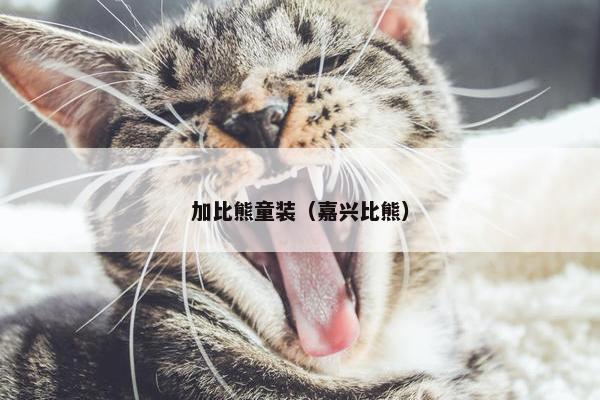 加比熊童装（嘉兴比熊）