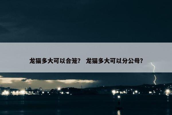 龙猫多大可以合笼？ 龙猫多大可以分公母？