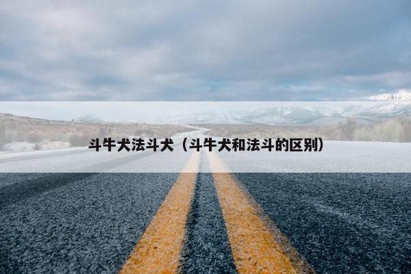 斗牛犬法斗犬（斗牛犬和法斗的区别）
