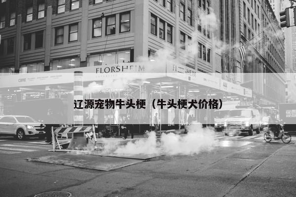 辽源宠物牛头梗（牛头梗犬价格）