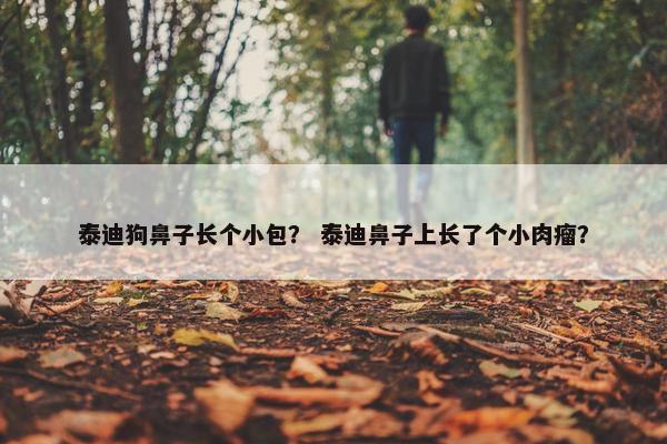 泰迪狗鼻子长个小包？ 泰迪鼻子上长了个小肉瘤？