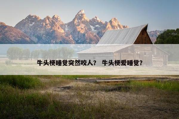 牛头梗睡觉突然咬人？ 牛头梗爱睡觉？