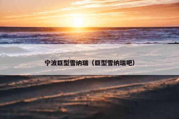 宁波巨型雪纳瑞（巨型雪纳瑞吧）